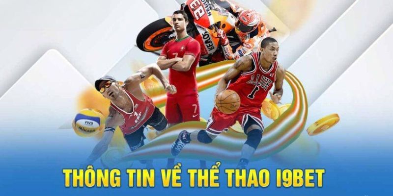 Áp dụng mẹo cược thể thao vào các kèo được nhiều bet thủ ưa chuộng